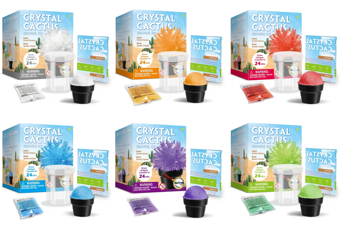 CRYSTAL CACTUS MINI KIT SET OF 6